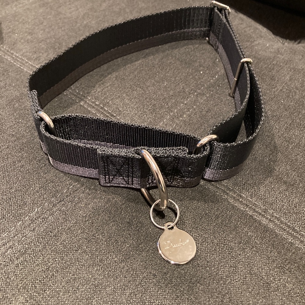 Dazzler Dog Collar Black Gray For Large Dogs